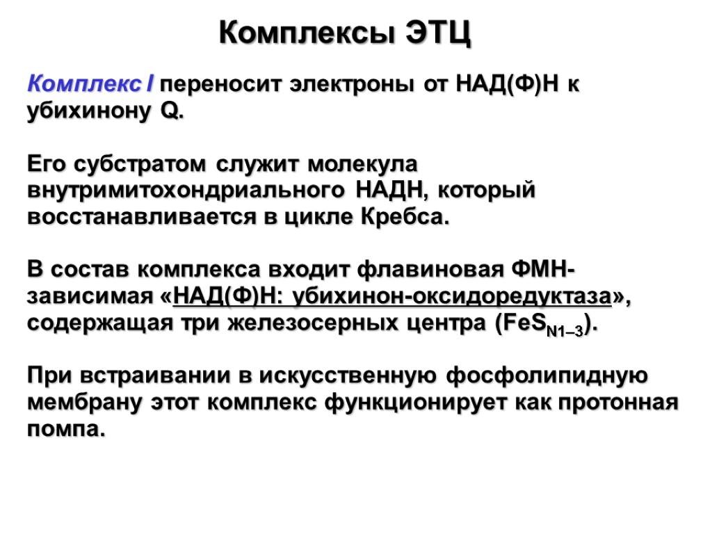 Комплексы ЭТЦ Комплекс I переносит электроны от НАД(Ф)Н к убихинону Q. Его субстратом служит